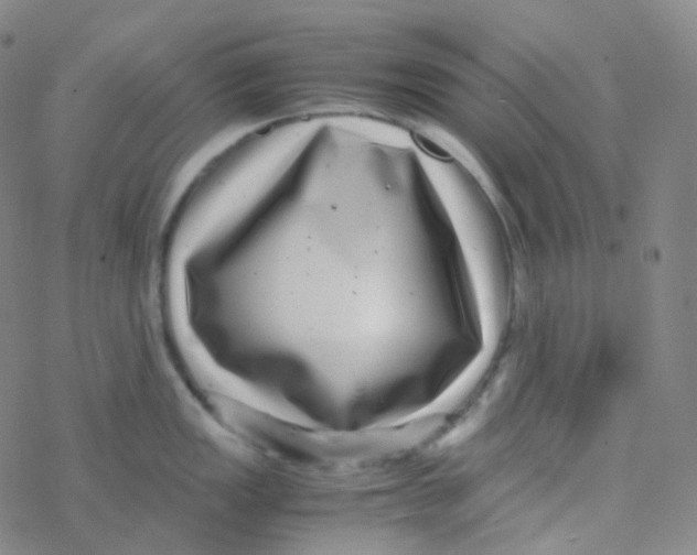 X0000076271149200610262024