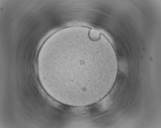 X0000076271150200610262024