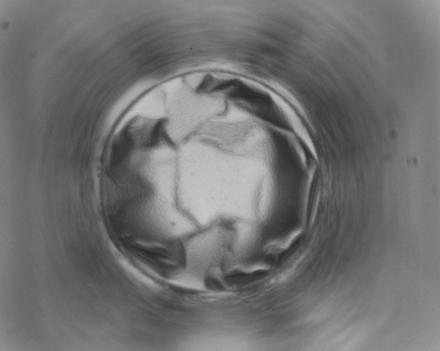 X0000076271151200610262024