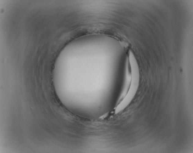 X0000076271153200610262023