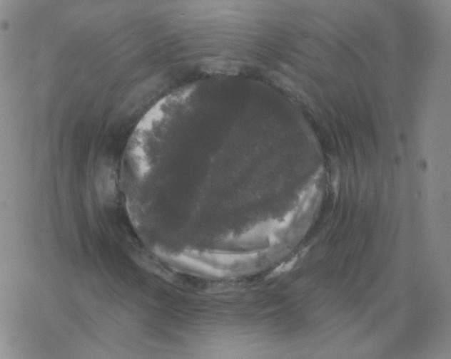 X0000076271154200610262023