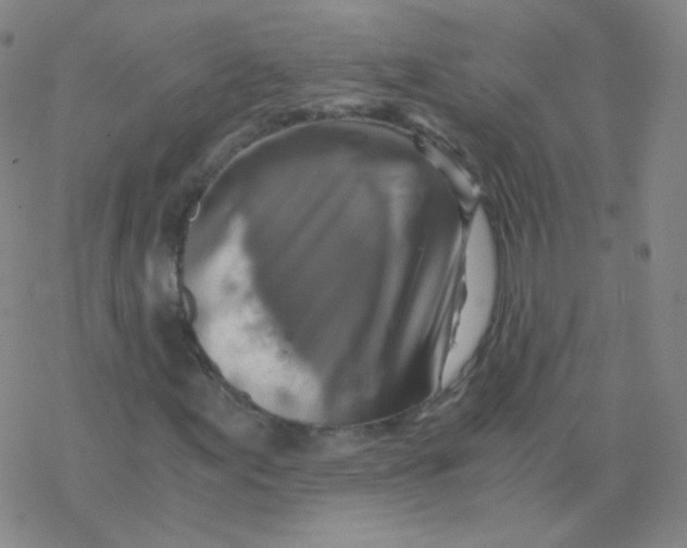 X0000076271155200610262023