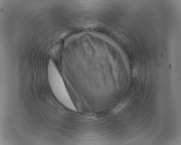 X0000076271156200610262023