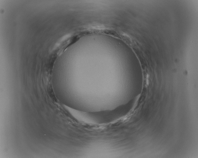 X0000076271157200610262023