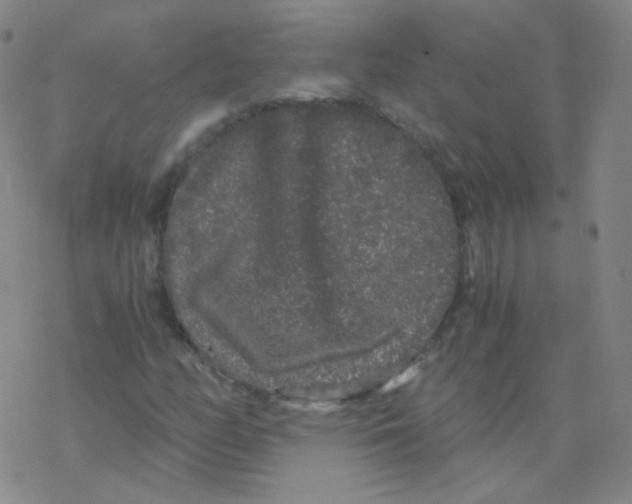 X0000076271158200610262023