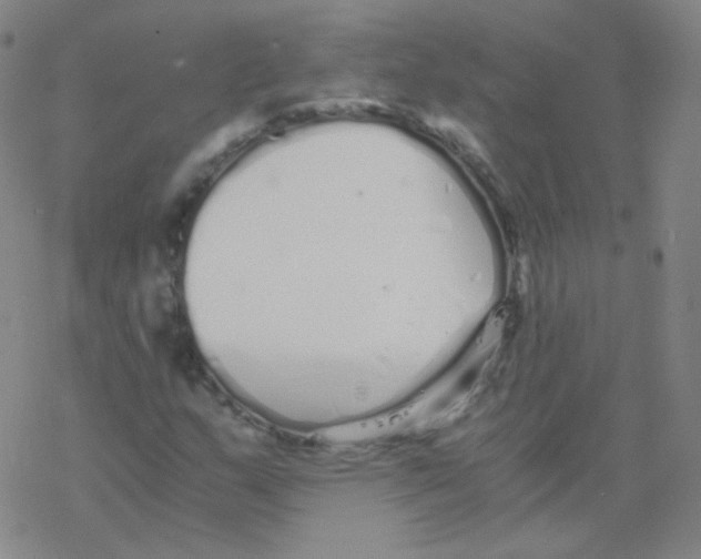 X0000076271159200610262023