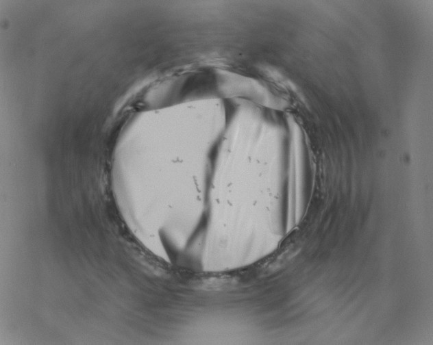 X0000076271160200610262023