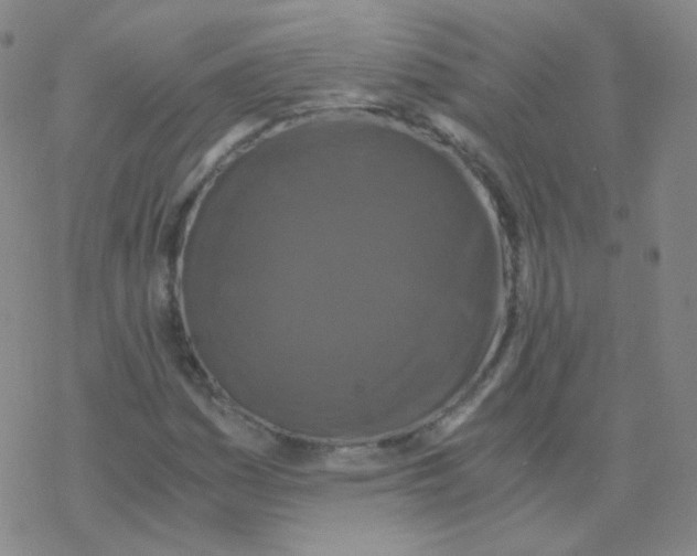 X0000076271161200610262023