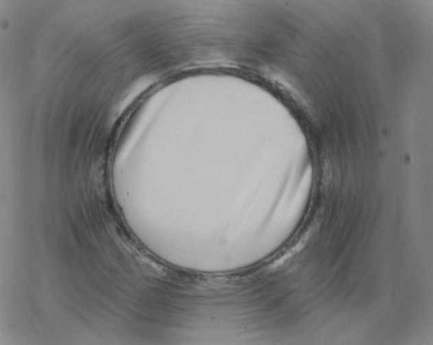 X0000076271162200610262023