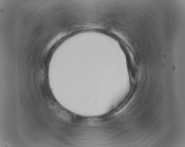 X0000076271163200610262023