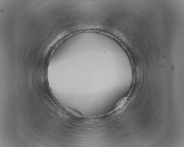 X0000076271165200610262023