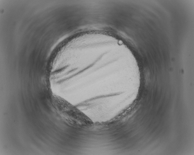 X0000076271166200610262023