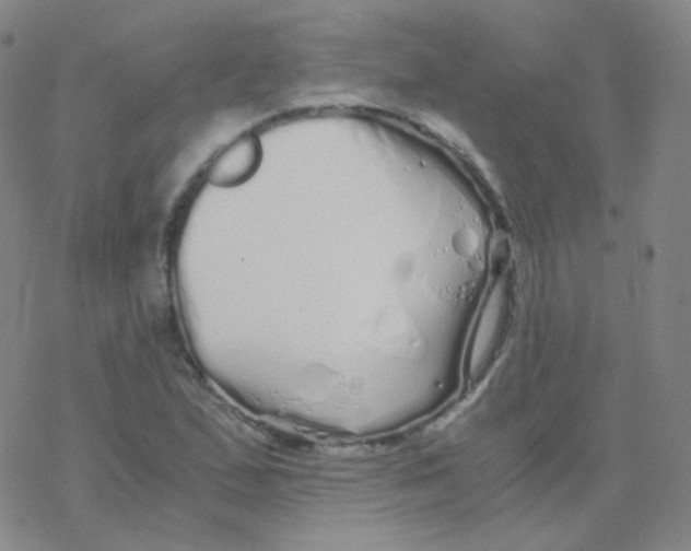 X0000076271167200610262023