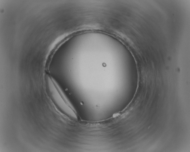 X0000076271168200610262023