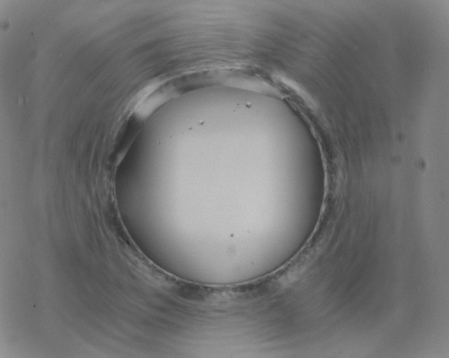 X0000076271169200610262023