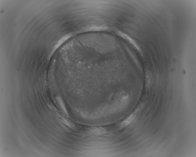 X0000076271170200610262023