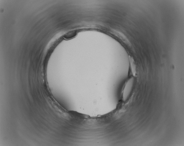 X0000076271172200610262023