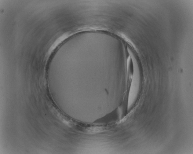 X0000076271173200610262023