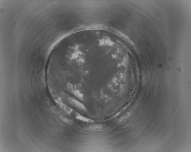 X0000076271174200610262023