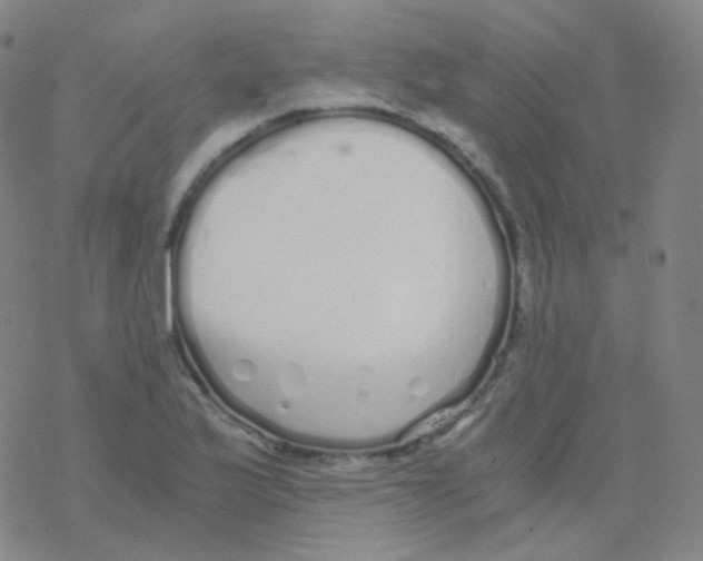 X0000076271175200610262023