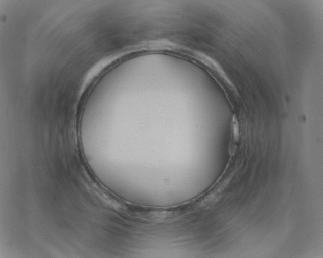 X0000076271176200610262023