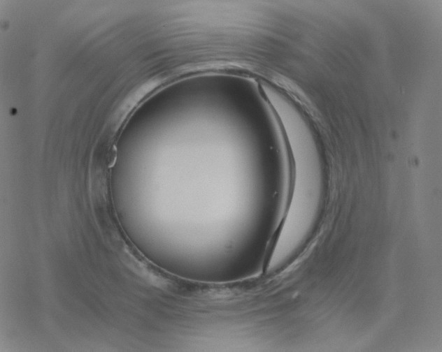 X0000076271177200610262023