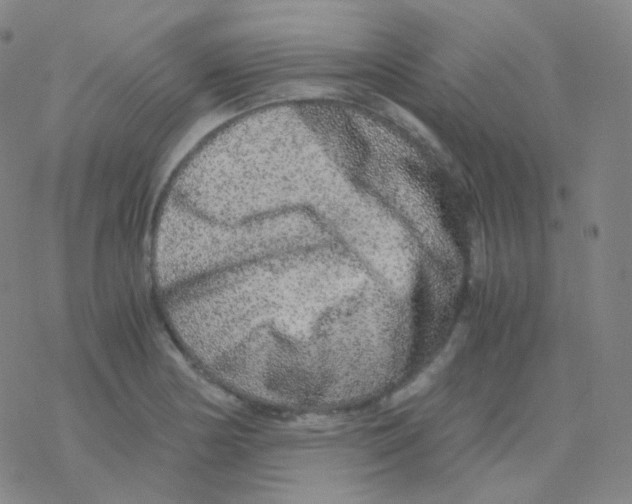 X0000076271178200610262023