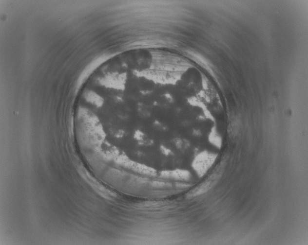 X0000076271179200610262023