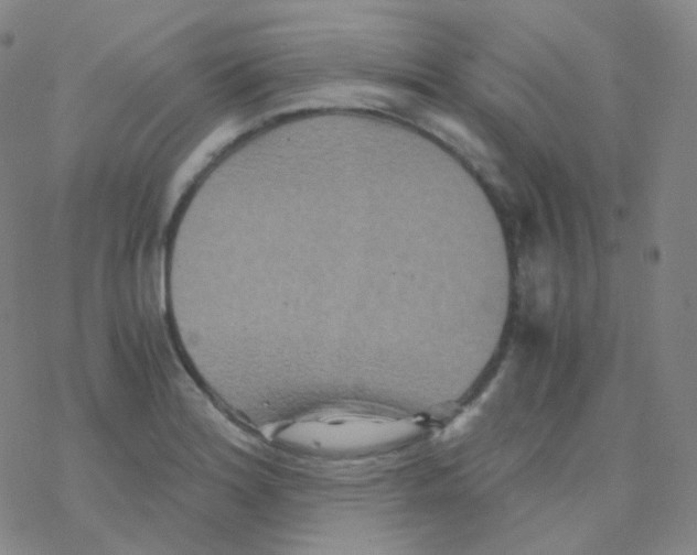 X0000076271180200610262023