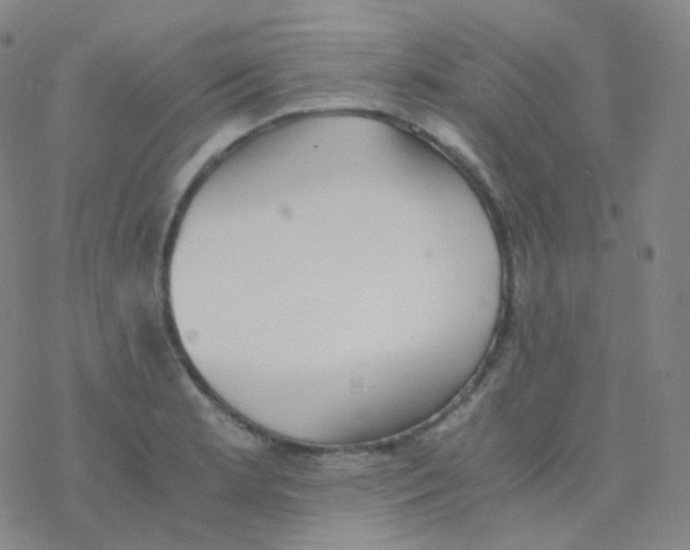 X0000076271181200610262023