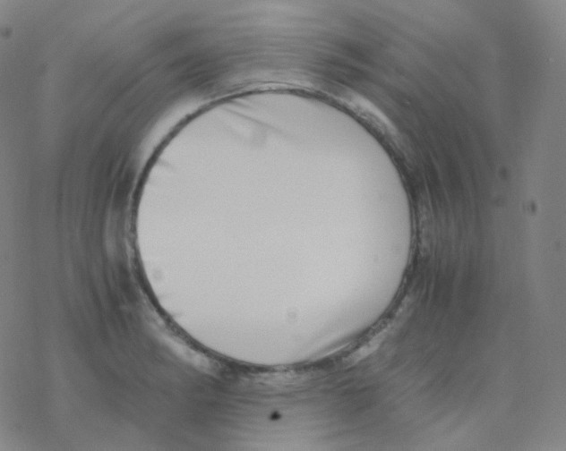 X0000076271182200610262023