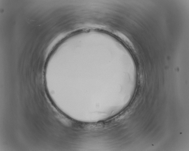 X0000076271183200610262023