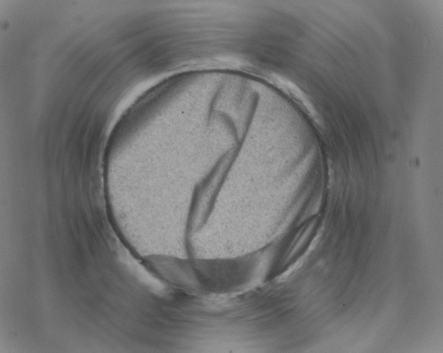 X0000076271184200610262023