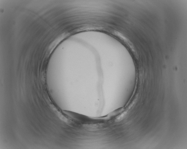 X0000076271185200610262023