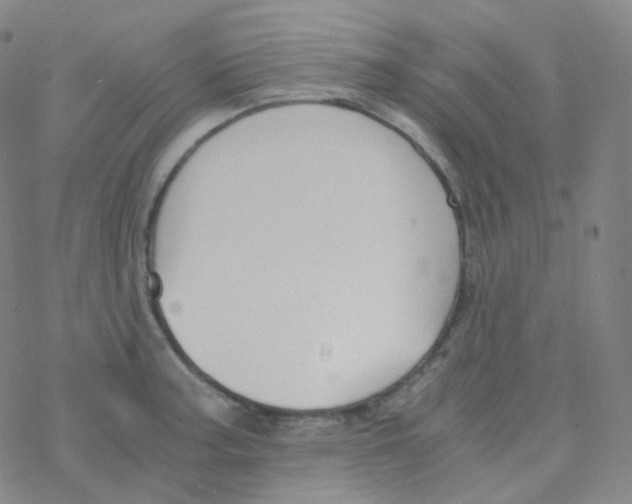 X0000076271187200610262023