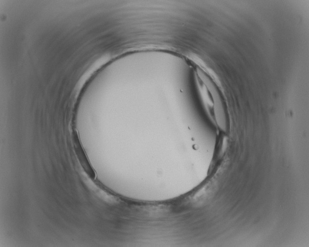 X0000076271189200610262022