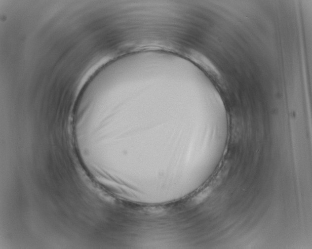 X0000076271190200610262022