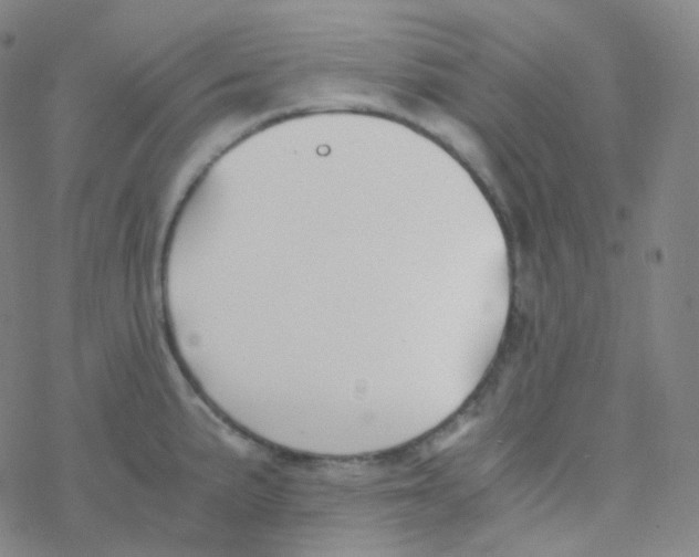 X0000076271191200610262022