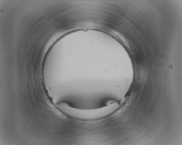 X0000076271192200610262022