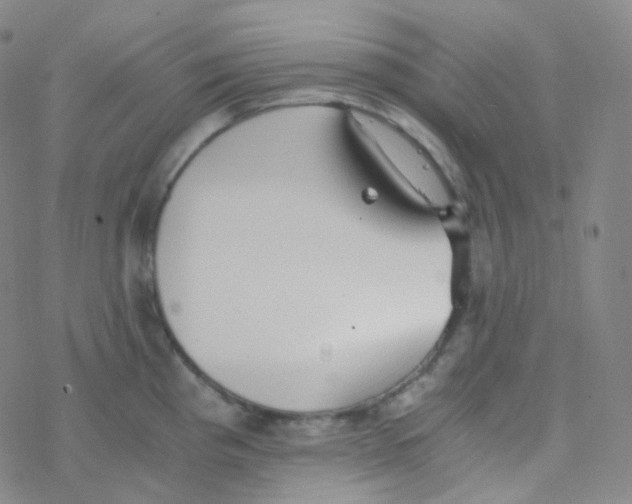 X0000076271193200610262022