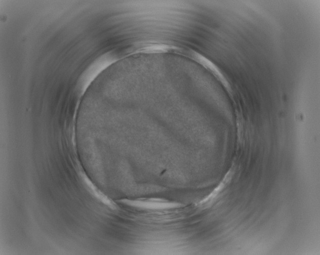 X0000076271194200610262022