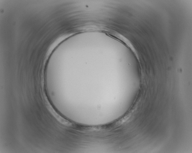 X0000076271195200610262022