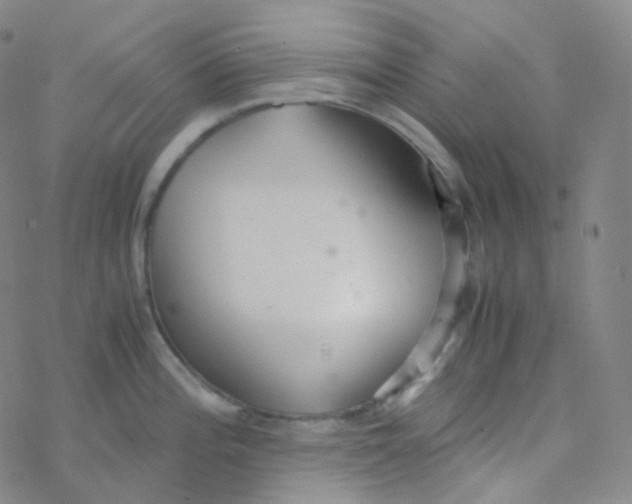 X0000076271196200610262022