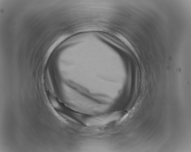 X0000076271197200610262022