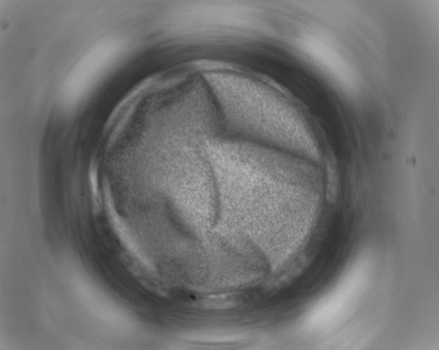 X0000076271198200610262022