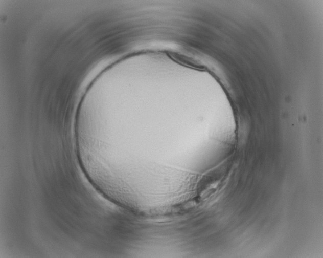 X0000076271199200610262022