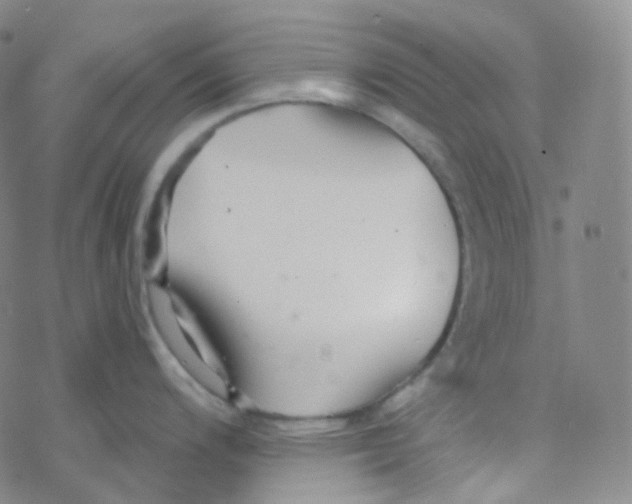 X0000076271200200610262022