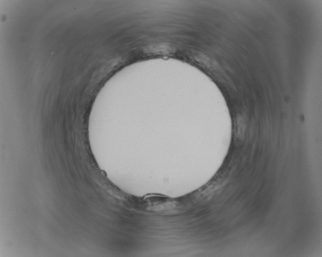 X0000076271201200610262022