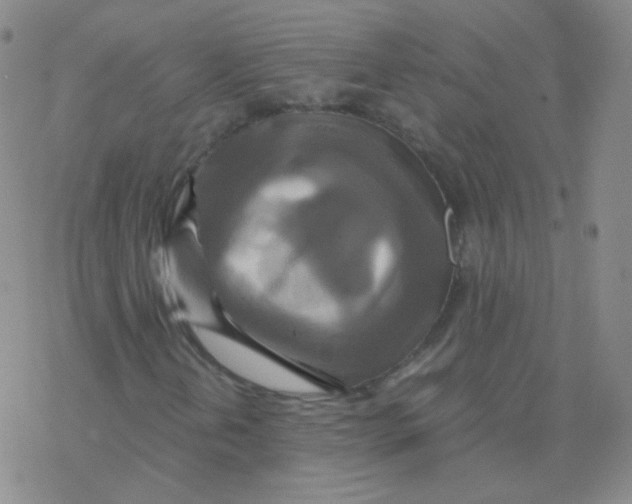 X0000076271202200610262022