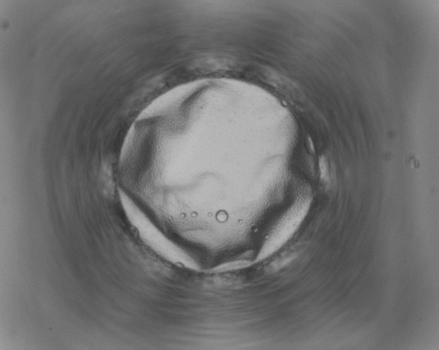 X0000076271203200610262022